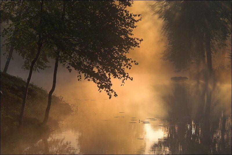 Рассветная середниковская картинка с подсвеченным туманом над прудом и бревном между островами фото превью