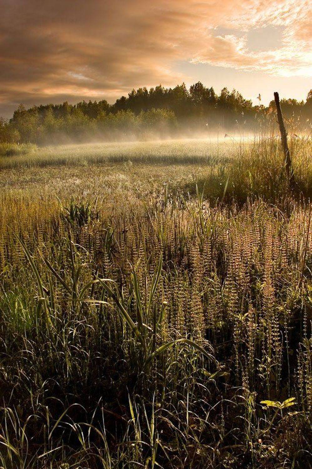 , Ефремов Юрий