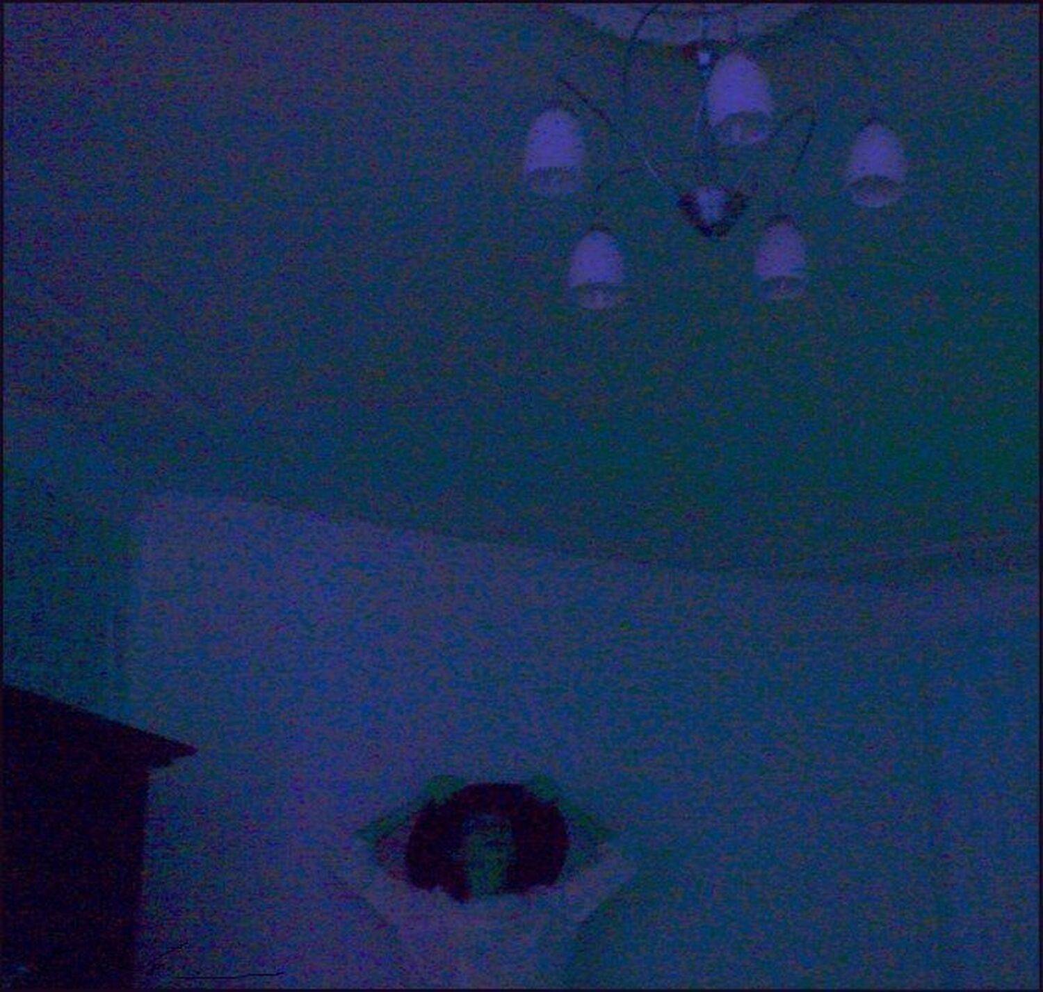 o.,парадоксия,триколор,жидкая,включи_свет_дура,квадрат_малевича, Deep in Violet