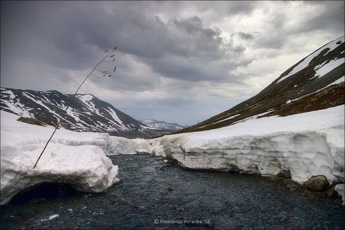 Про северное лето.
