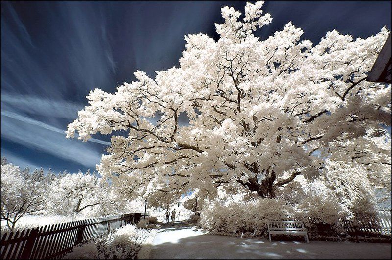 infrared инфракрасная iNfRaReD фото превью