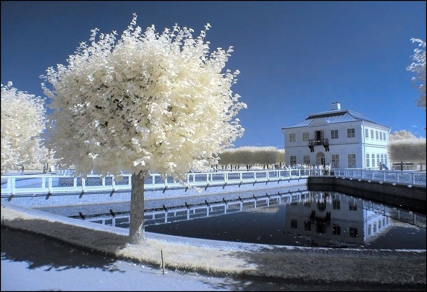 infrared photo инфракрасная, Andrey S.