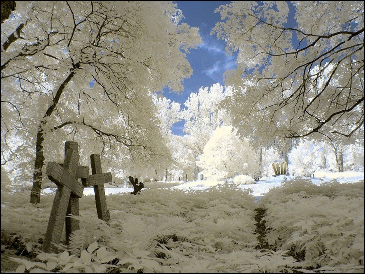 infrared инфракрасный, Andrey S.