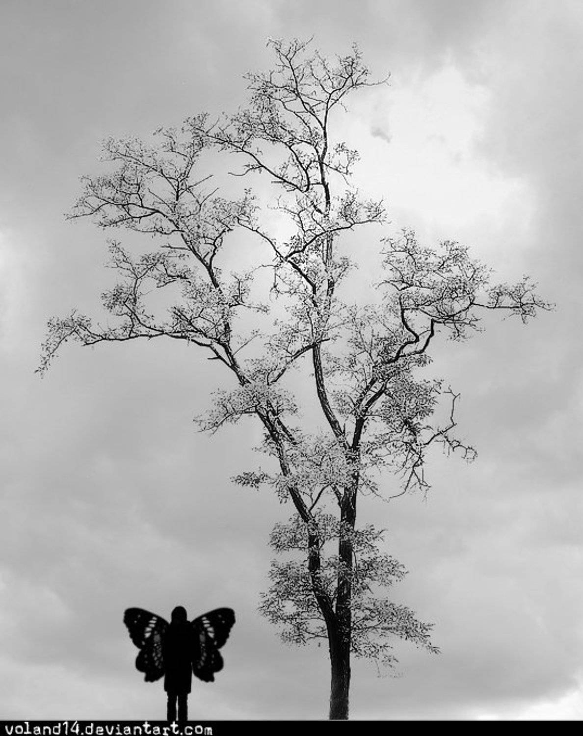 , Воланд Ратибор