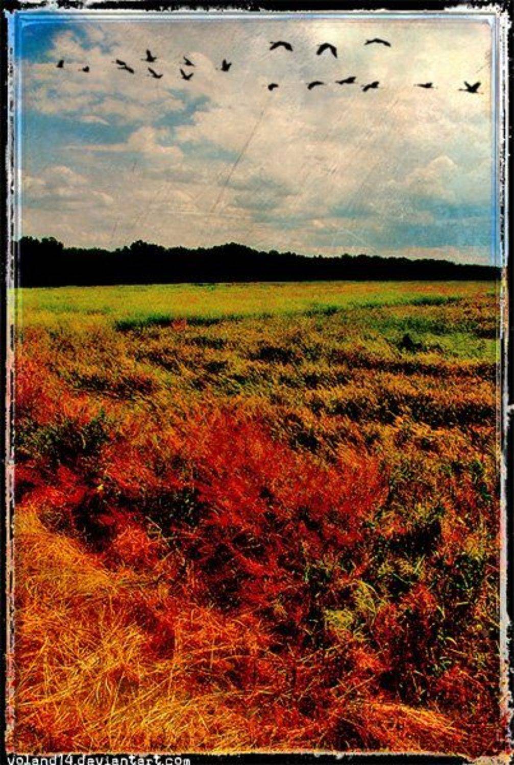 , Воланд Ратибор