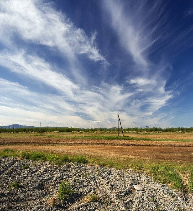 sirfisher магадан, Sir Fisher