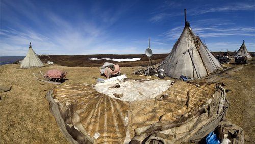 Весна пришла, пора и чум сушить...