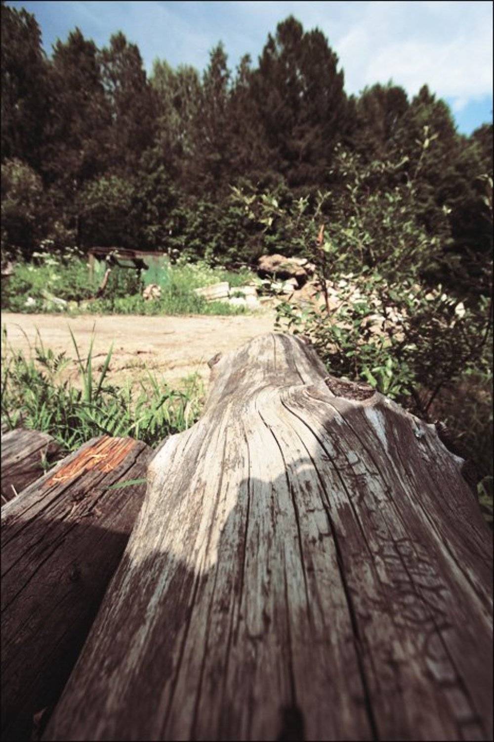 silence, тишина, koniae'ff