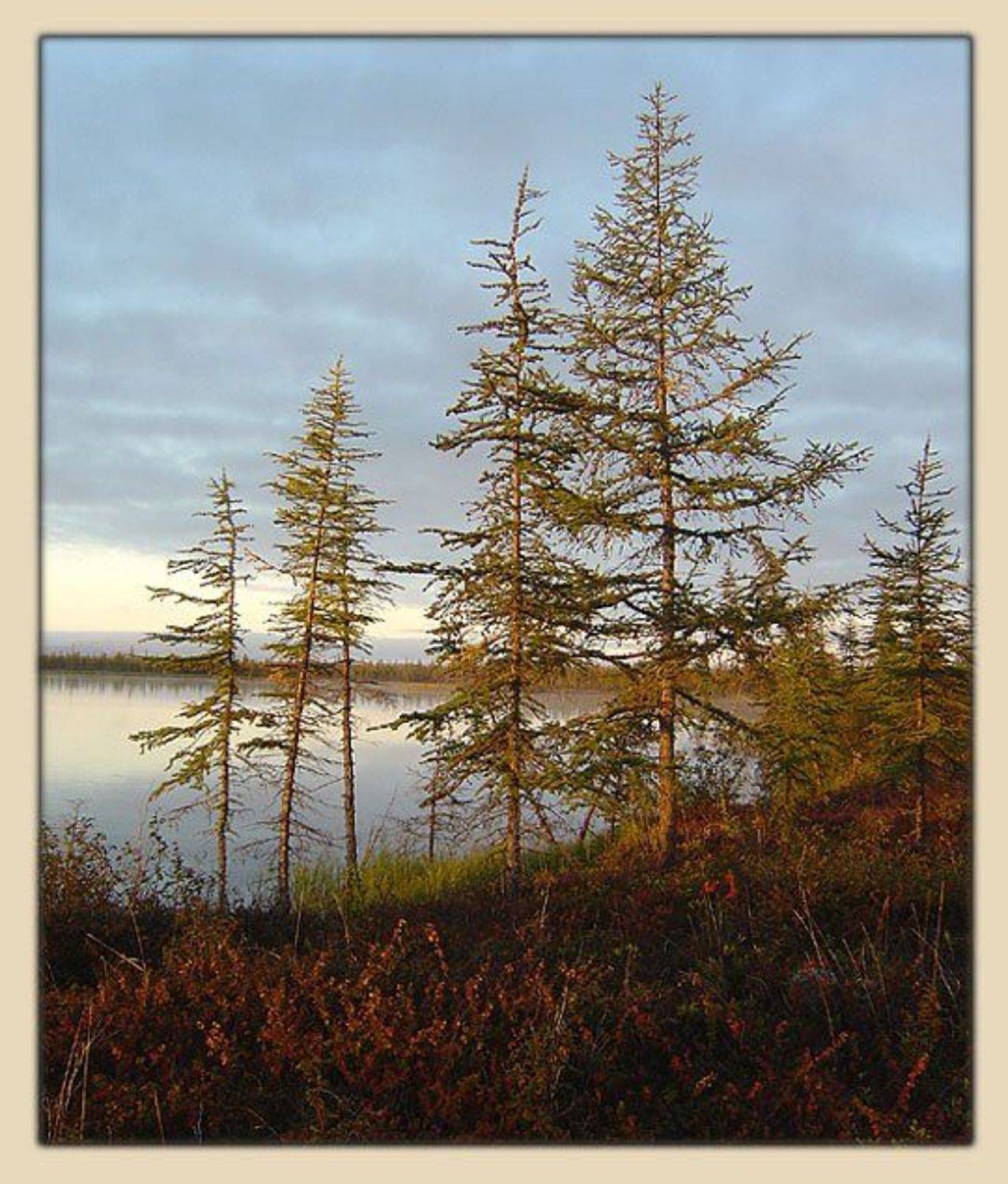 озеро,тайга, Солодухин Виктор
