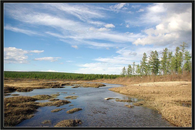 разлив,река,тайга Весенний бриз фото превью
