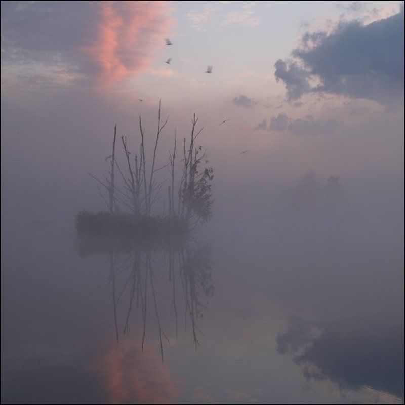 Рассветная болотная картинка с островом в тумане фото превью