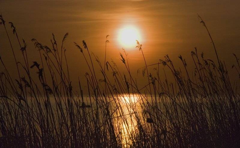 закат,небо,краски,вода,ладога,облака,рыбак, Евгений Пугачев.