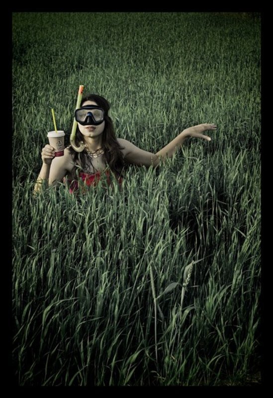 mermaid mermaid фото превью