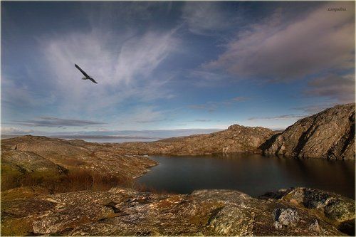 Холодные берега (1.13 ночь)