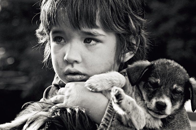 *** фото превью