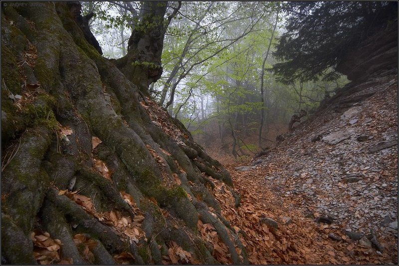 крым, таракташ, пейзаж, туман, осень, весна Территория вечной осени.. фото превью