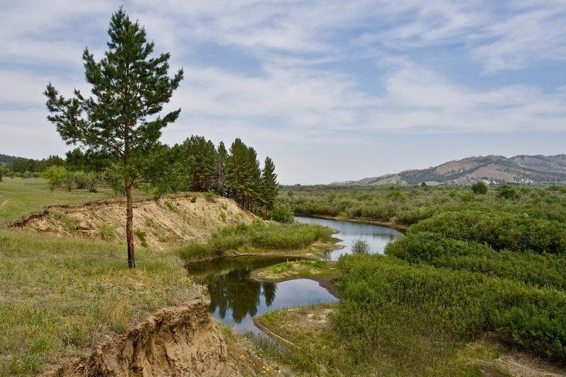 бурятия, река, чикой Протока реки Чикой фото превью