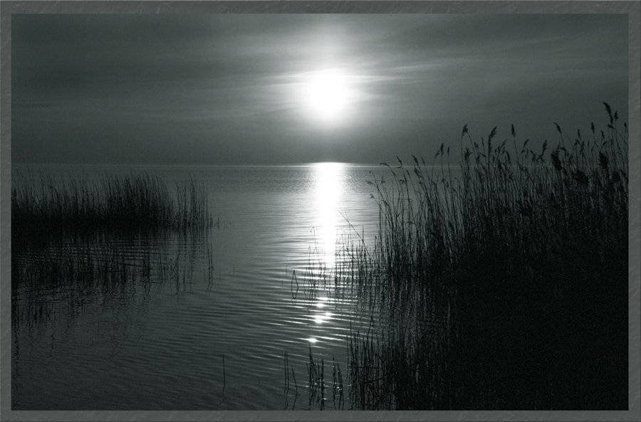 облака,небо,солнце,сухостой,свет, Евгений Пугачев.