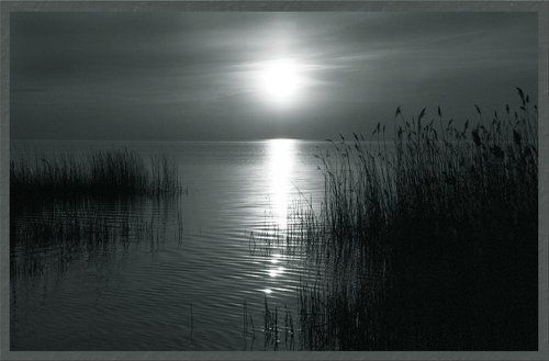 Вечерняя прохлада