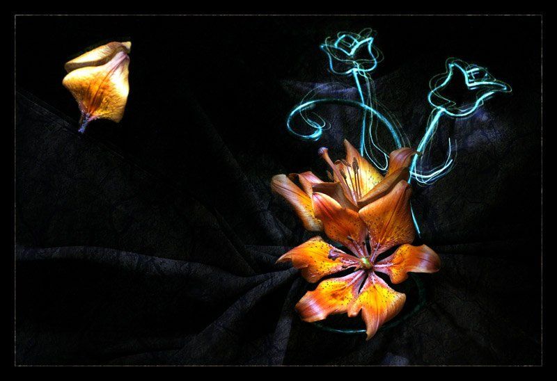 световая кисть Магия Цветов фото превью