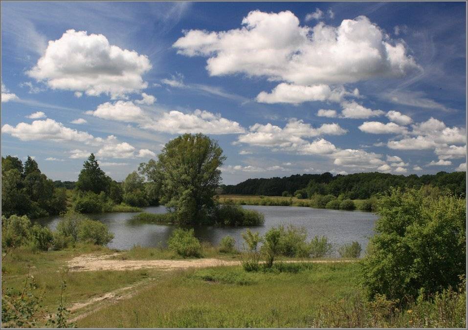 , Павел Дунюшкин