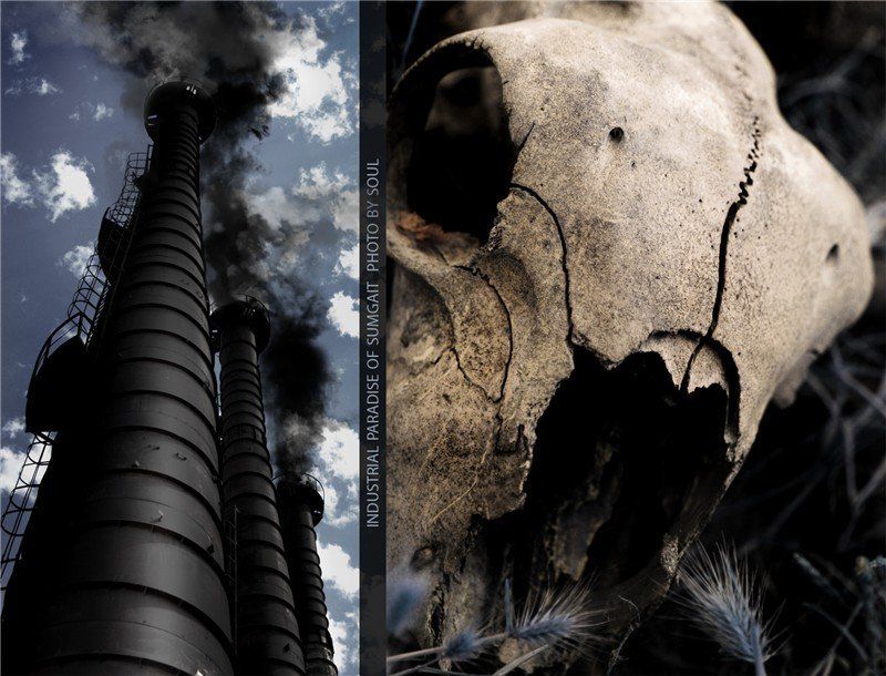 завод трубы природа ущерб INDUSTRIAL PARADISE фото превью