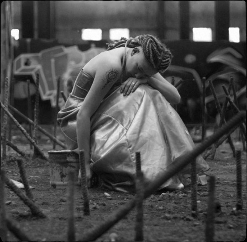 где_цветы, каты, и_вот_их_нет где цветы фото превью