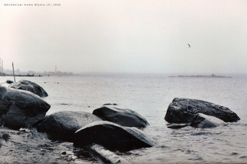 петрозаводск, angst  фото превью