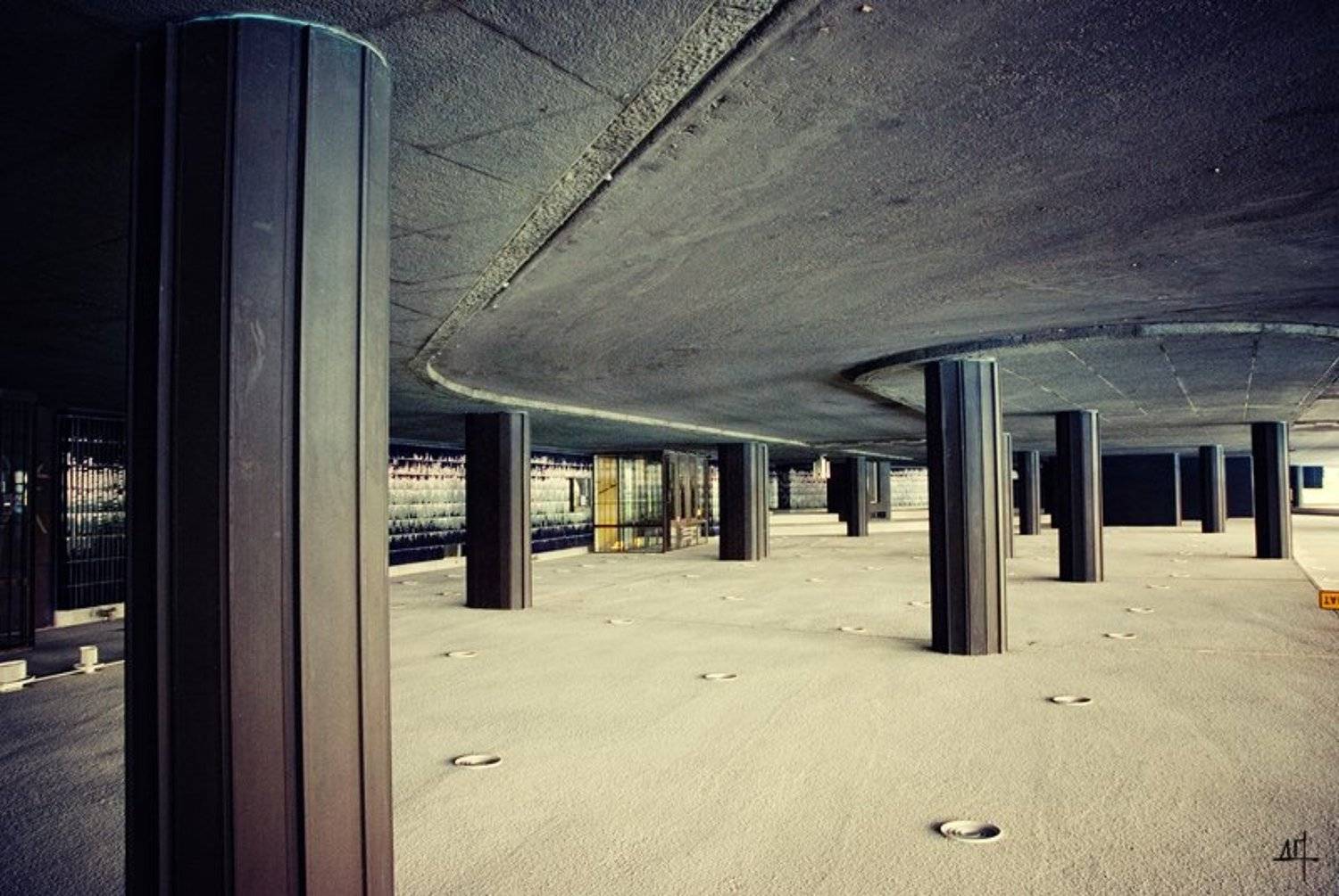 , Дмитрий Плотникофф