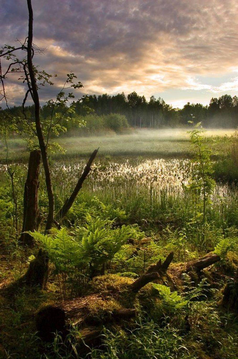 , Ефремов Юрий