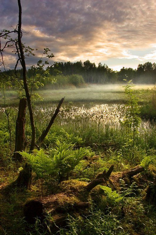 *** фото превью