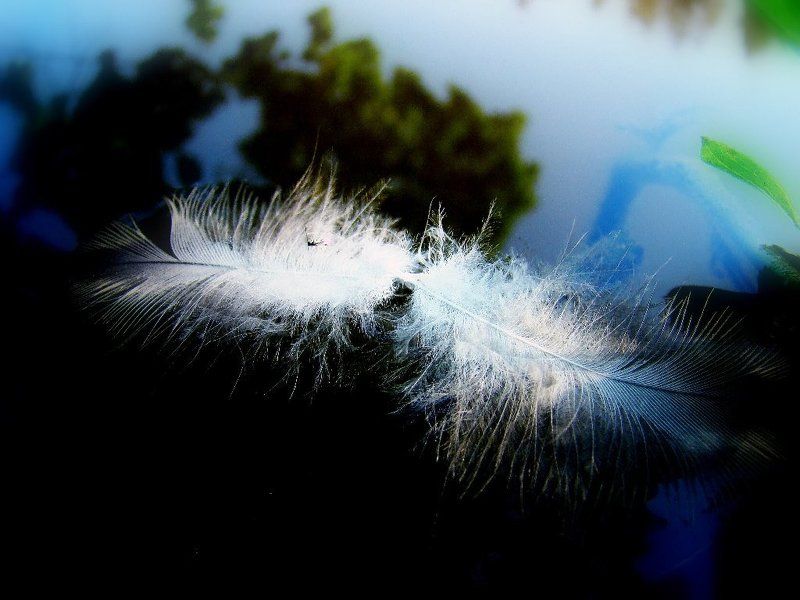 Незыблимо и нежно.... фото превью