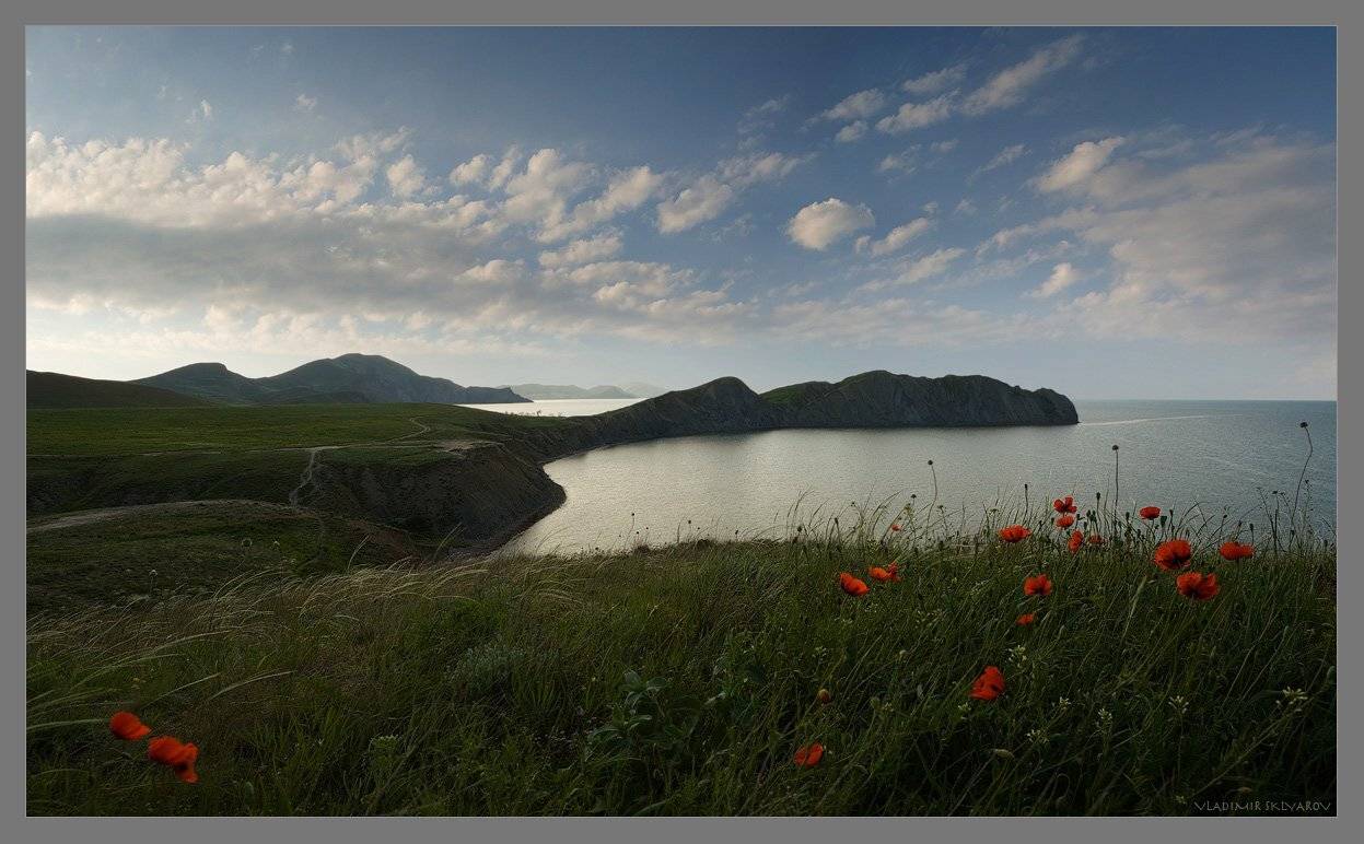 , Владимир Скляров