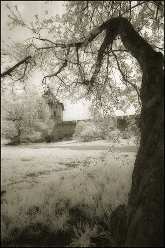iNfRaReD