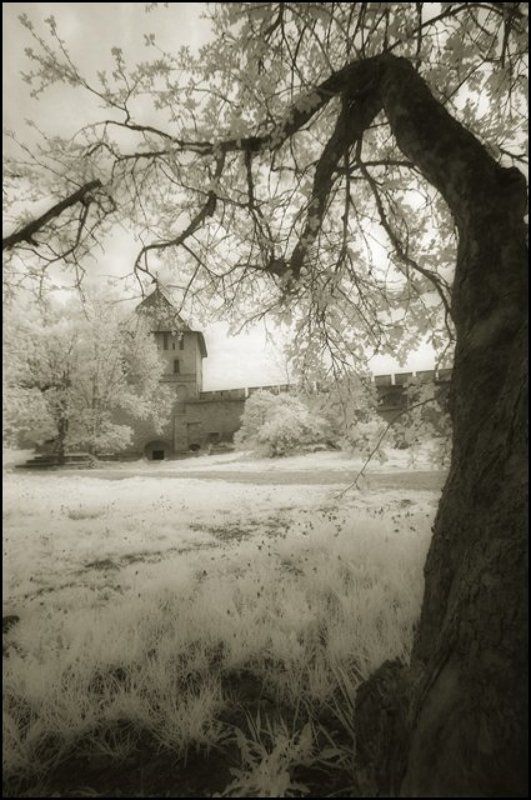 инфракрасная фотография infrared iNfRaReD фото превью