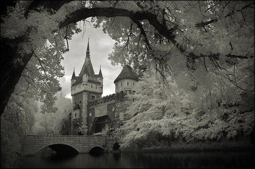 iNfRaReD