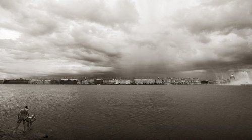 На берегу Невы