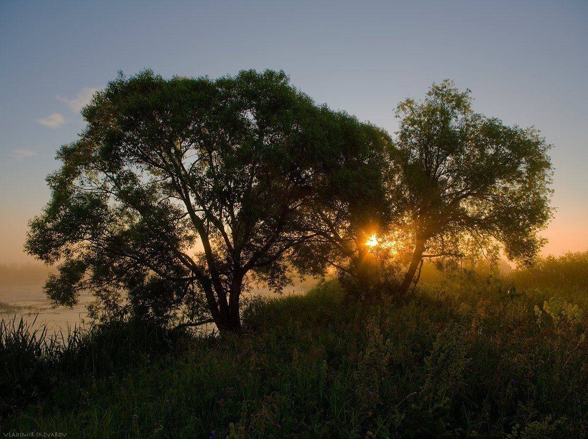 , Владимир Скляров