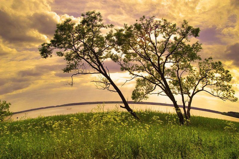 подмосковье... *** фото превью