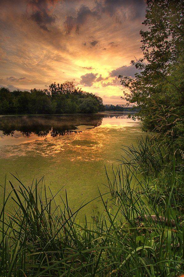 , Токарь Дмитрий