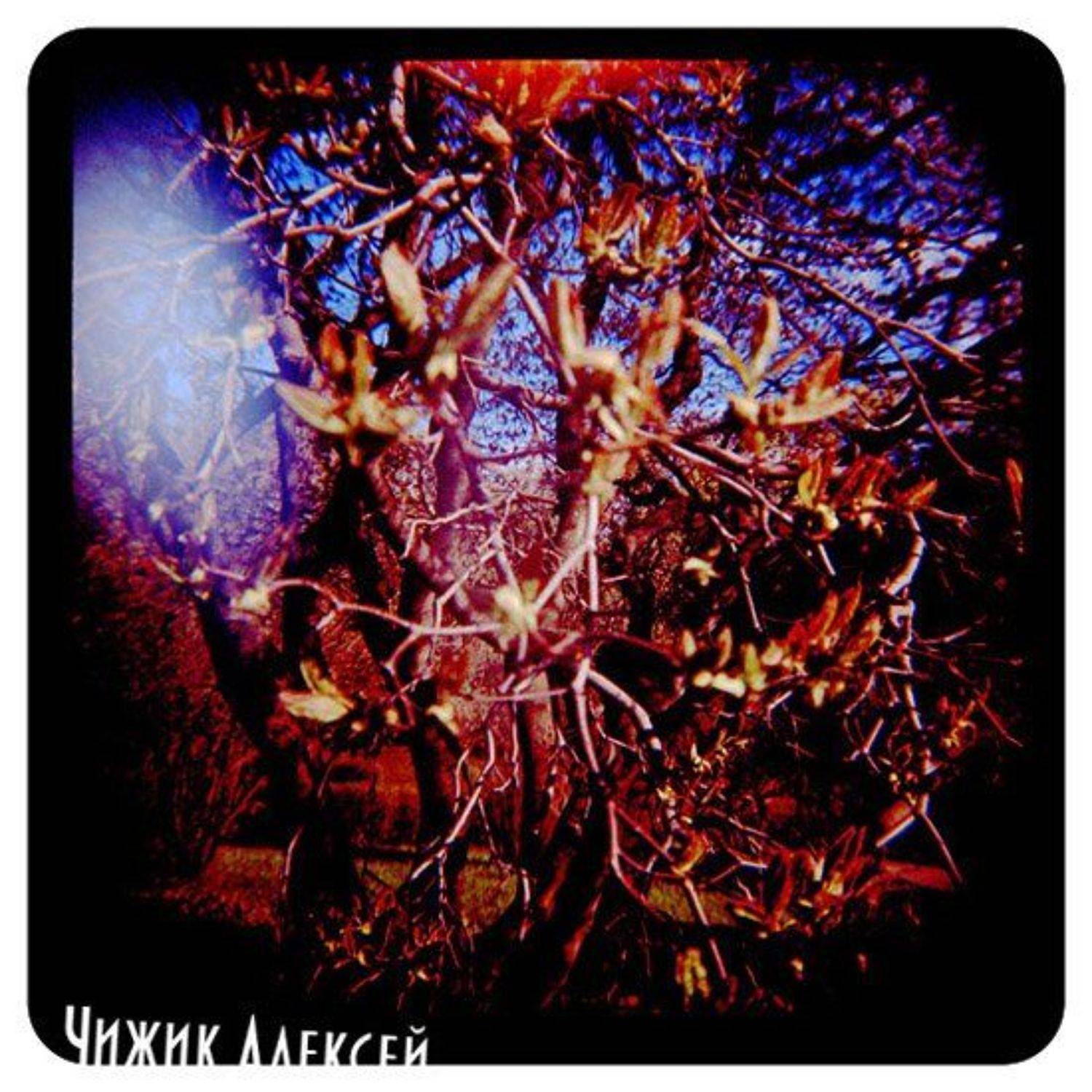 diana+, я увижу нас, но без меня