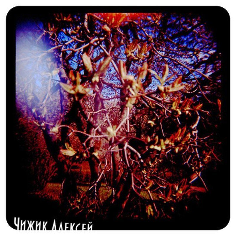 diana+ lomo фото превью