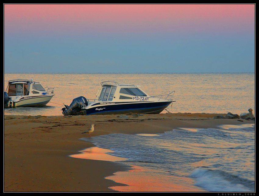 море, байкал, вода, птицы, рассвет, орел, чайка, Игорь Глушко