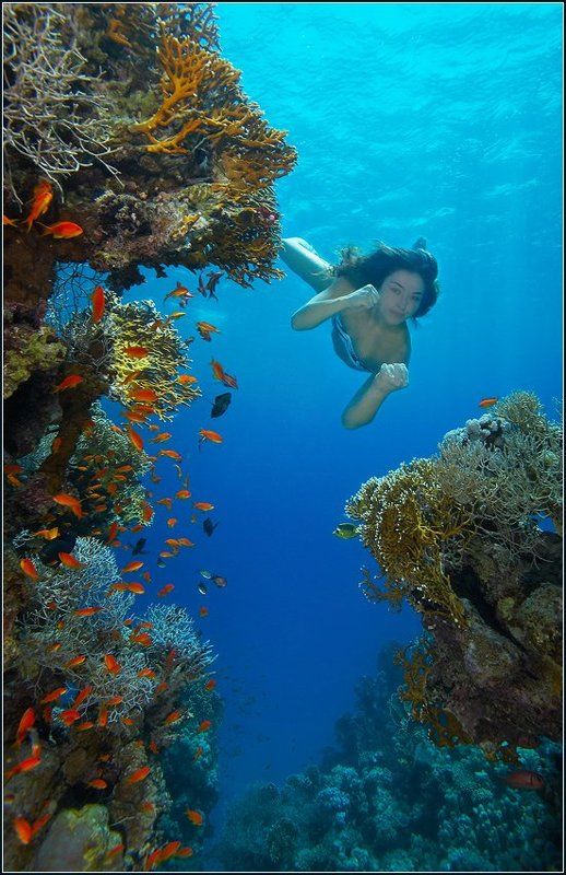 подводная амазонка фото превью