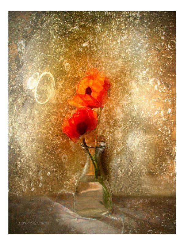 , Лариса Запатрина