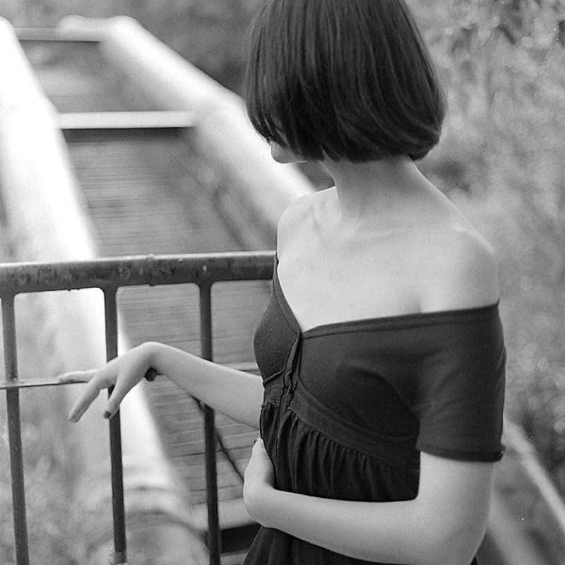 ...нимфея альба... фото превью