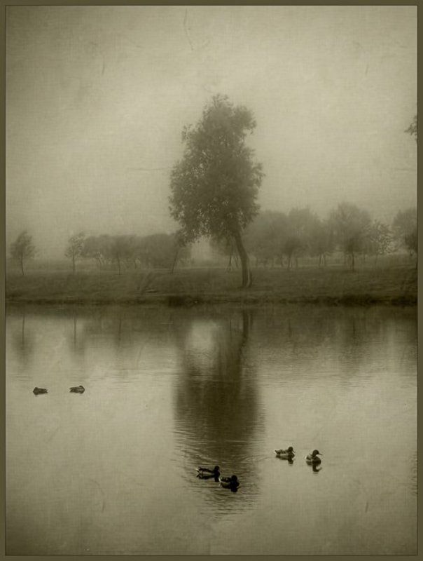 санкт-петербург Слепое утро фото превью