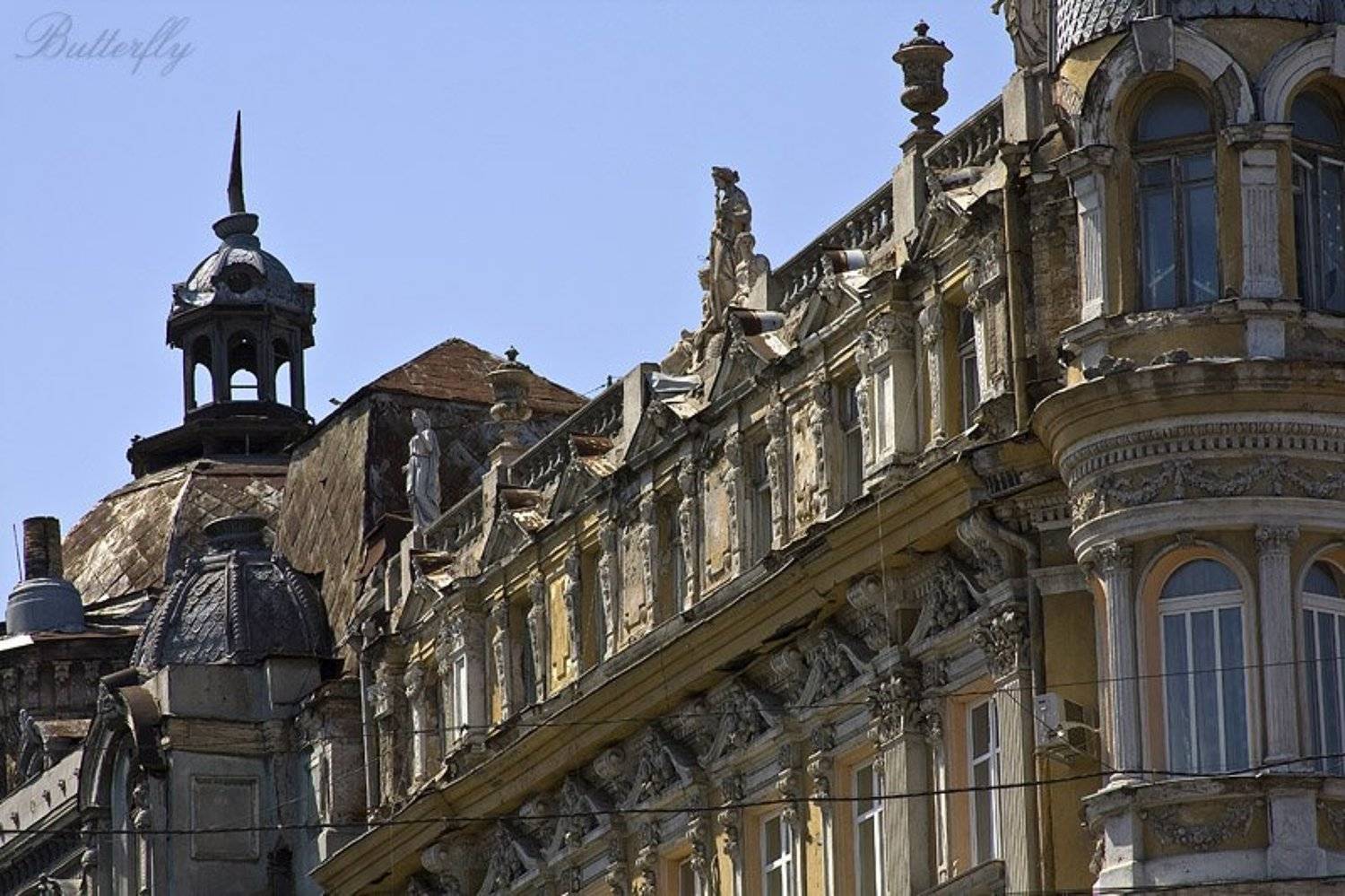 одесса, butterfly