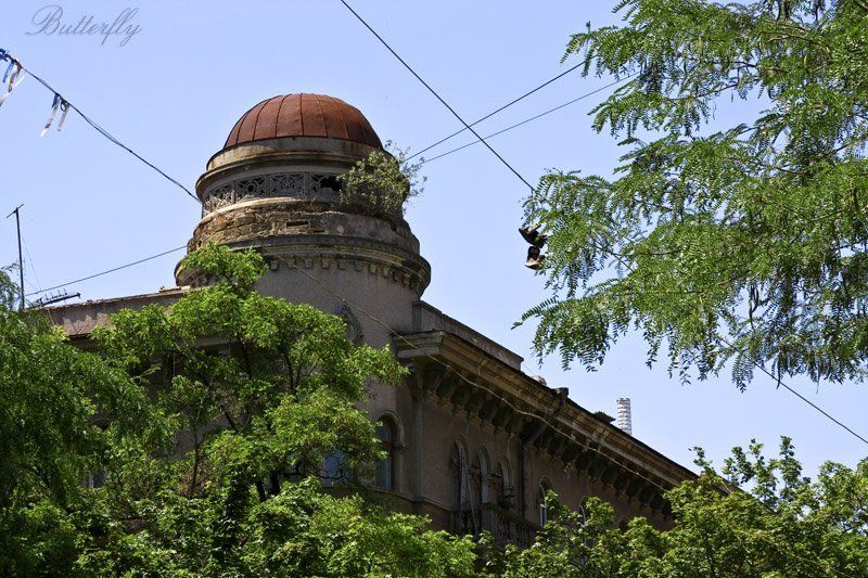 одесса  фото превью