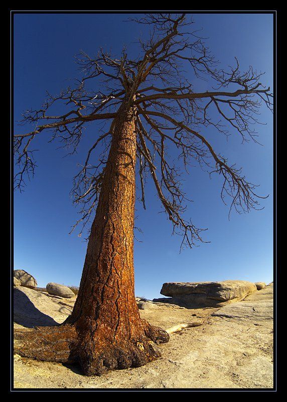 Taft Point, Yosemite. фото превью